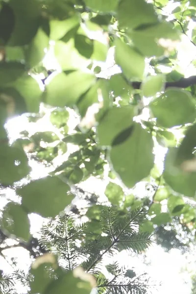 Eetiline ja jätkusuutlik